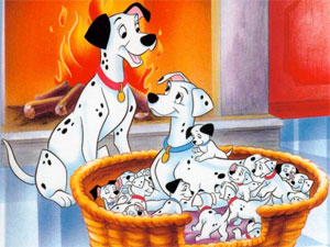 Dalmatians5